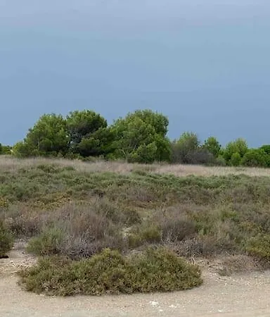 Vue Marin Et Canigou Apartment Le Barcares
